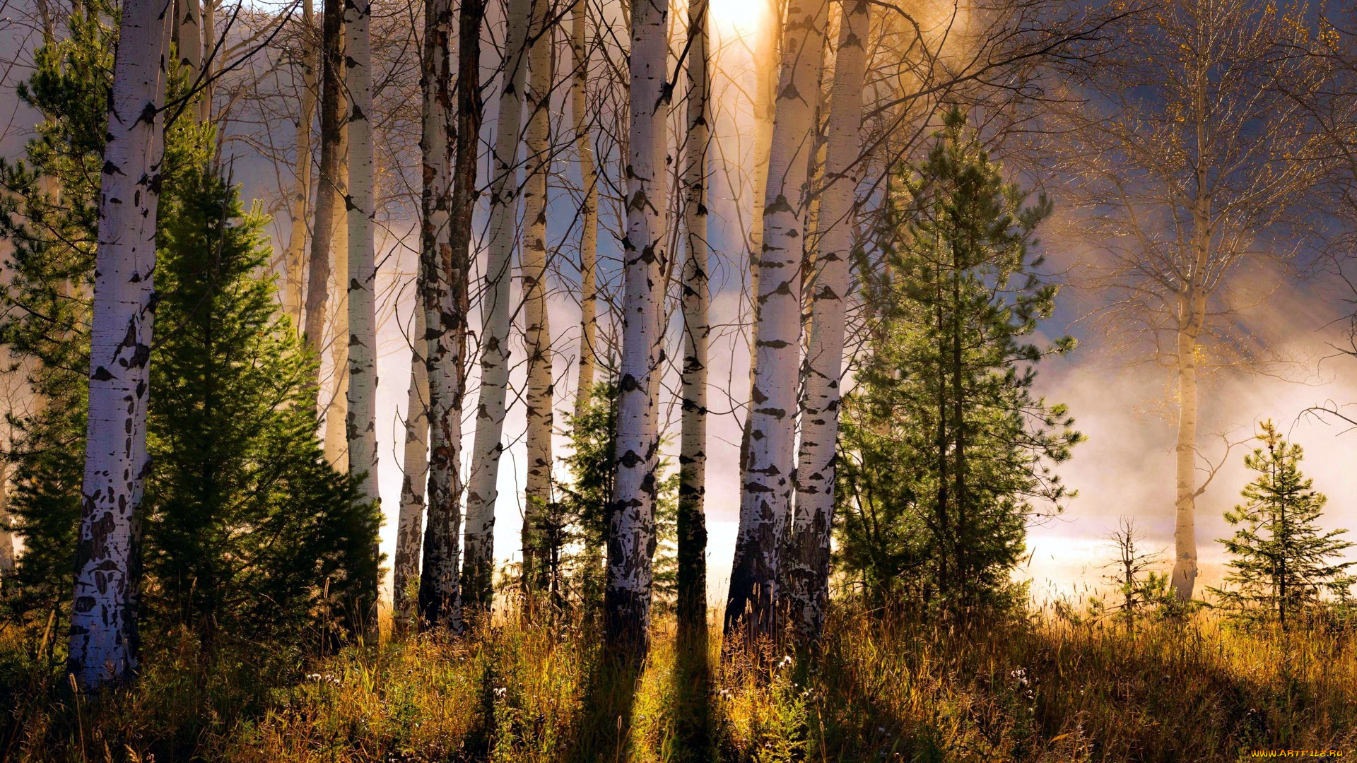 north fork, idaho, , , north, fork